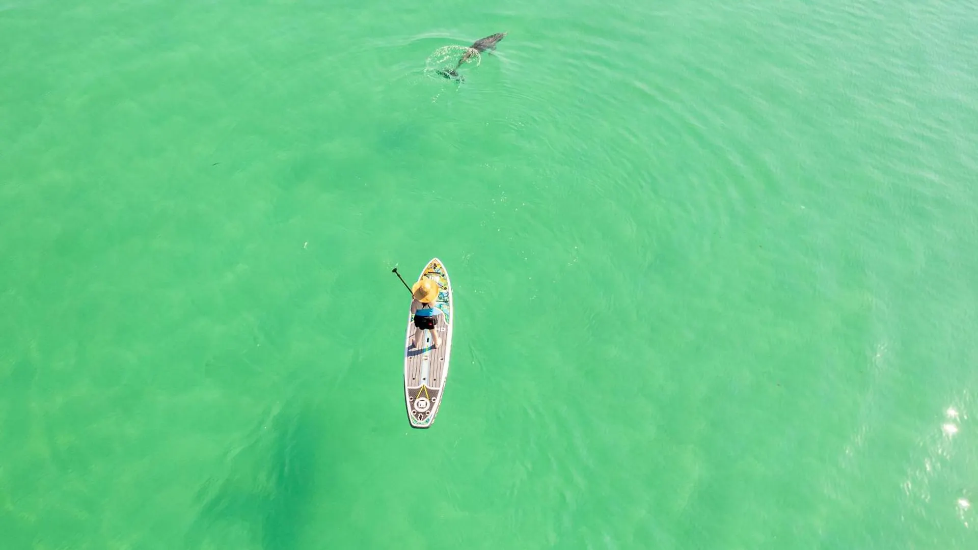 Apartment Destin On The Gulf 505-By Holiday Isle Properties United States